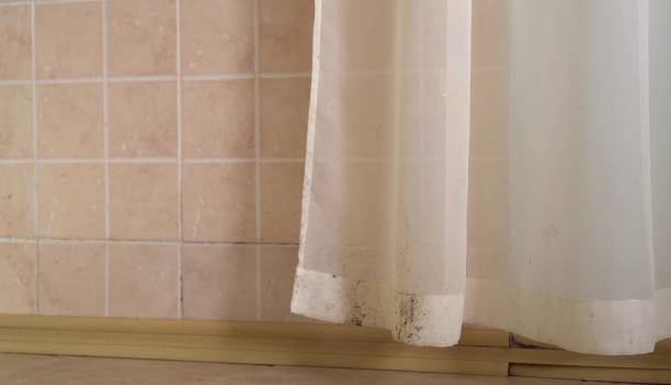 Best Asbestos and Lead Testing During Mold Inspection  in Devens, MA