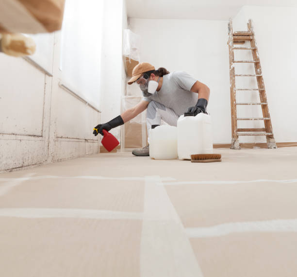 Best Crawl Space Mold Remediation  in Devens, MA
