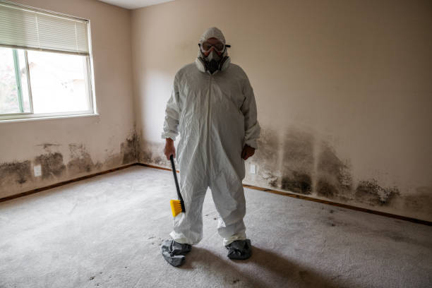 Best Real Estate Mold Inspection  in Devens, MA